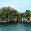 Bird Island