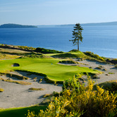 Chambers_Bay_15th_Tree.jpg