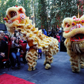 Ribbon-Cutting_Lion-Dance.jpg