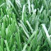 Artificial_grass-2.jpg