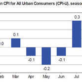 cpi-12152010-chart-1.jpg