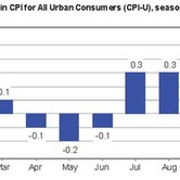 cpi-01142011-chart-1.jpg