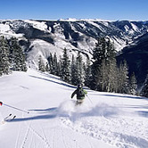 aspen_ski_powder.jpg