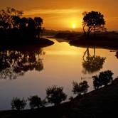 Kiawah-Island-TomWatson_Lane_Sunset.jpg