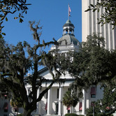 Florida-State-Capitol-Buildings-wpcki.jpg