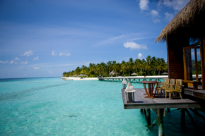 The-Maldives.jpg