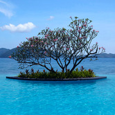 att-the-infinity-pool,-you-can-see-out-to-infinity-wpcki.jpg