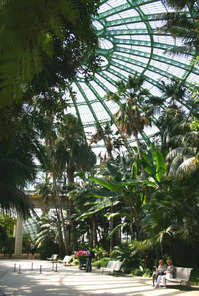 amazon-greenhouse-headquarters-interior.jpg