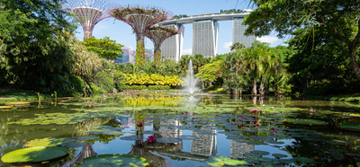 Marina_Bay_Sands_from_Gardens_By_The_Bay.jpg