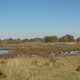 Wetlands-keyimage2.jpg