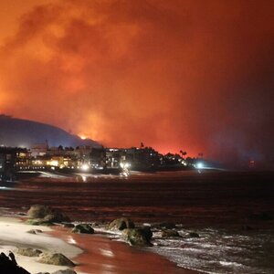 Los Angeles Area Wildfires Destroyed Nearly $52 Billion in Homes Last January