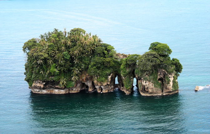 Bird Island