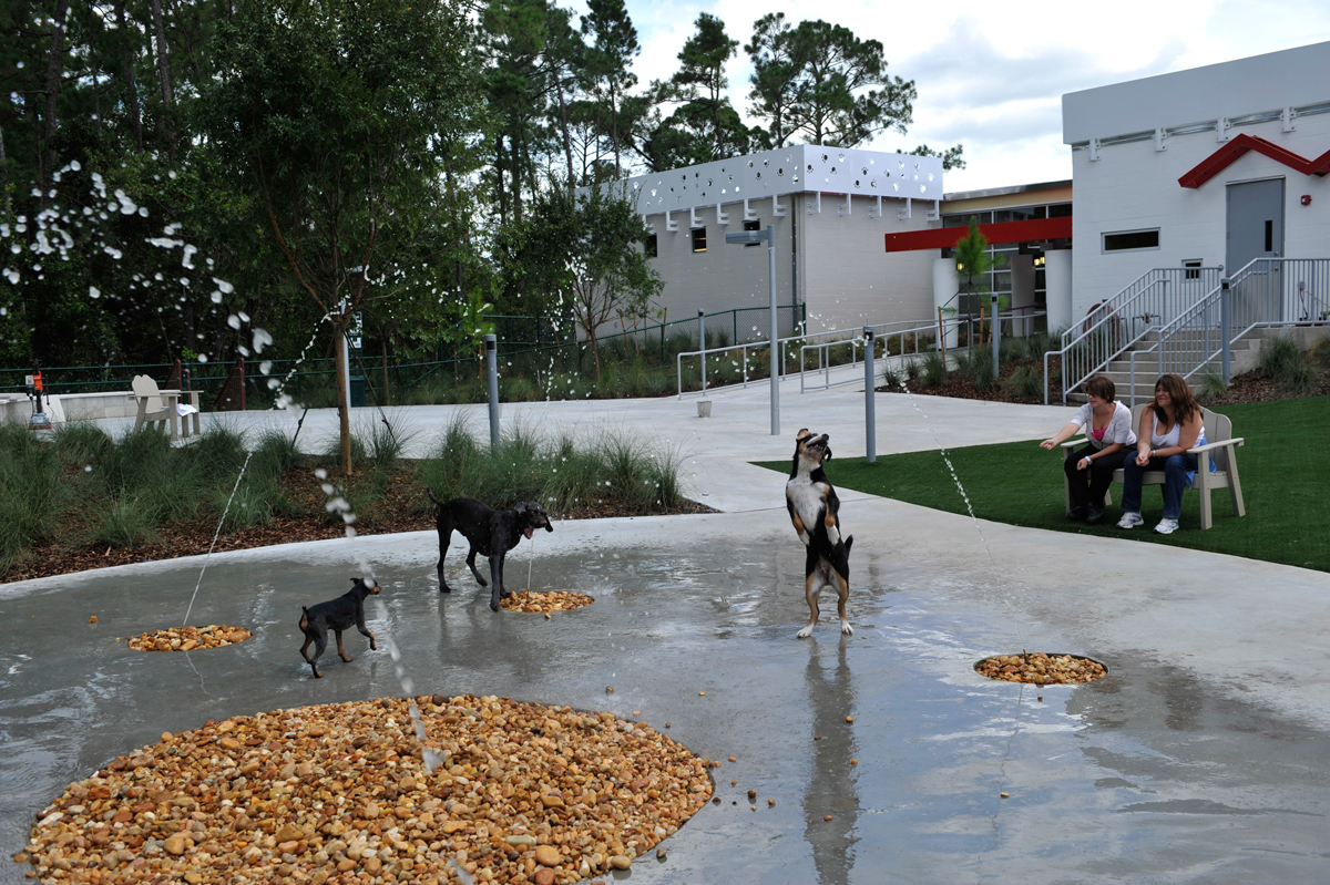 Disney Opens 'Luxury Pet Resort' in Orlando WORLD PROPERTY JOURNAL