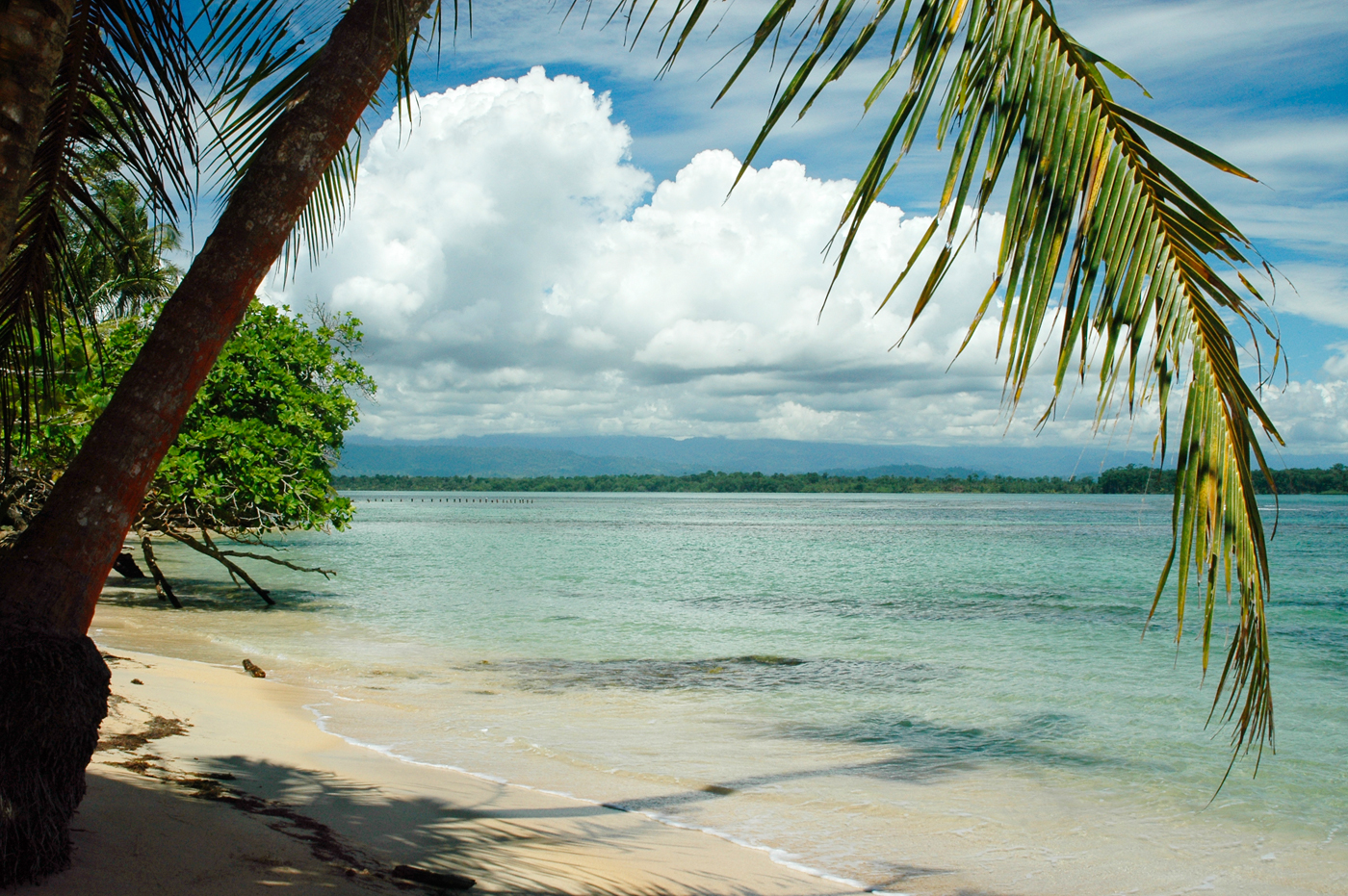 For Sale Panama Coastal Land WORLD PROPERTY JOURNAL Global News Center