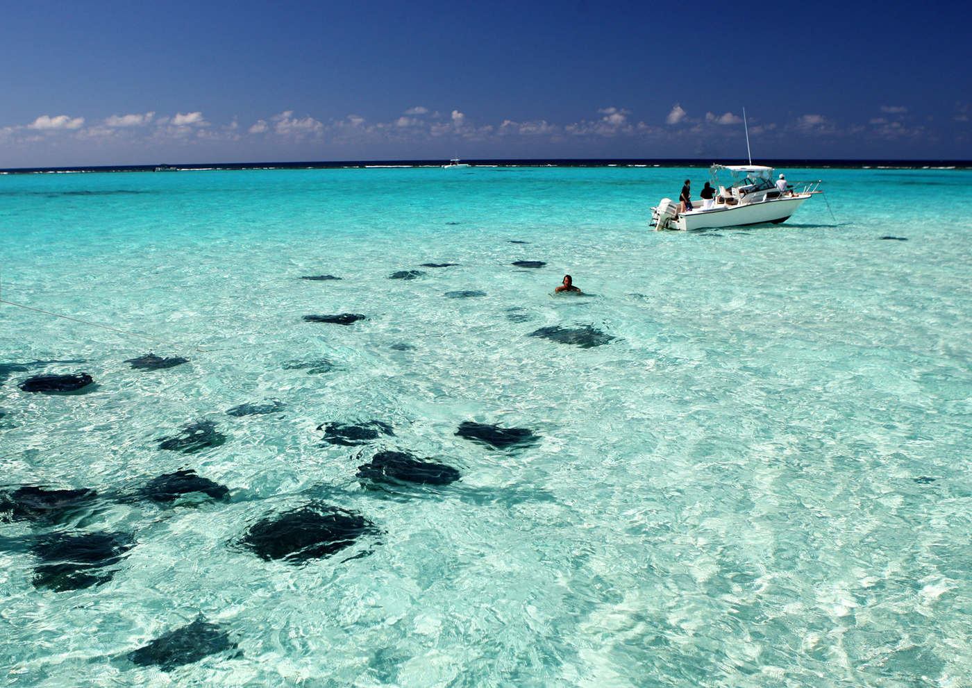 Cayman Islands Escorts